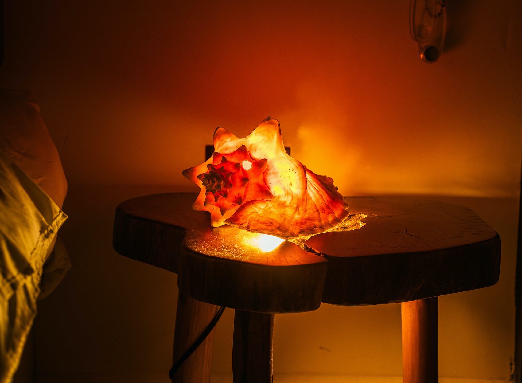 SeashellLamp